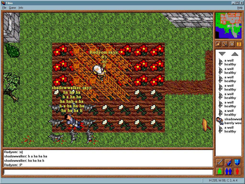 tibia screenshot  Guardians of Tanelorn