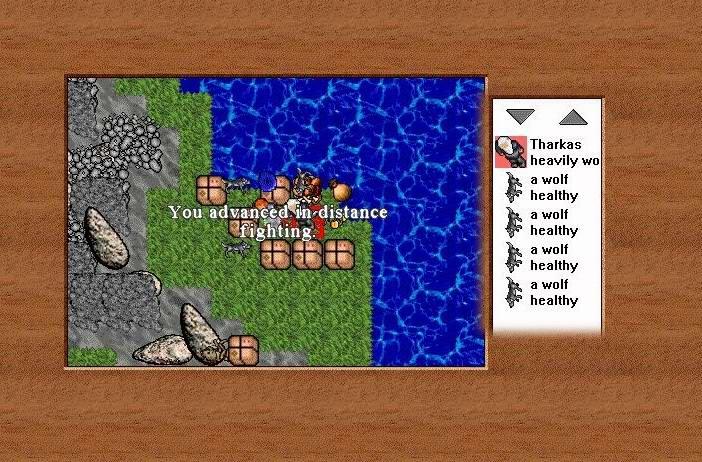 tibia screenshot  Guardians of Tanelorn