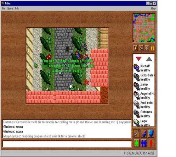 tibia screenshot  Guardians of Tanelorn