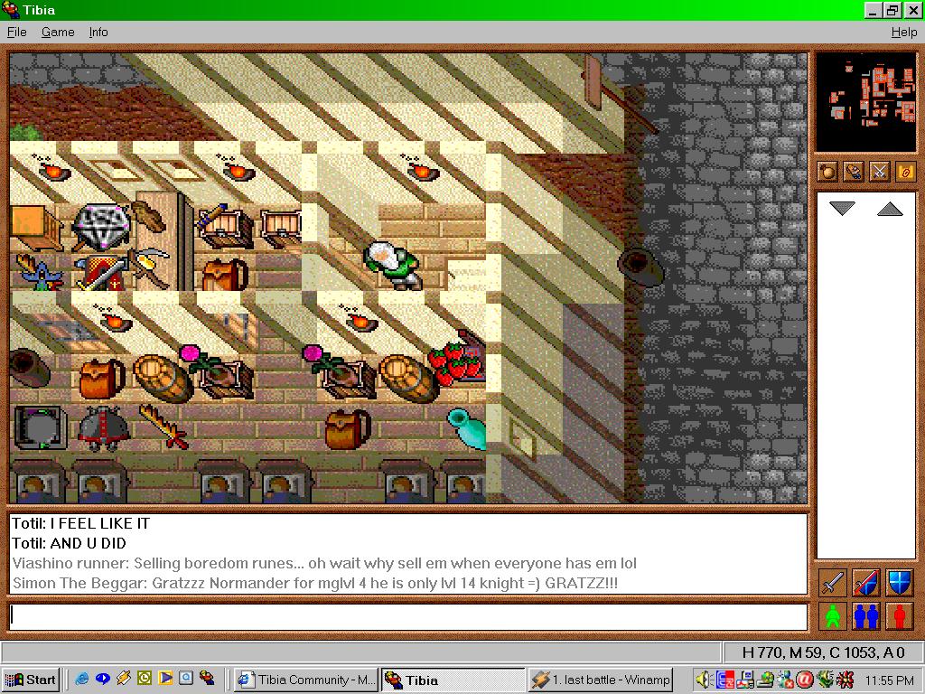 tibia screenshot  Guardians of Tanelorn